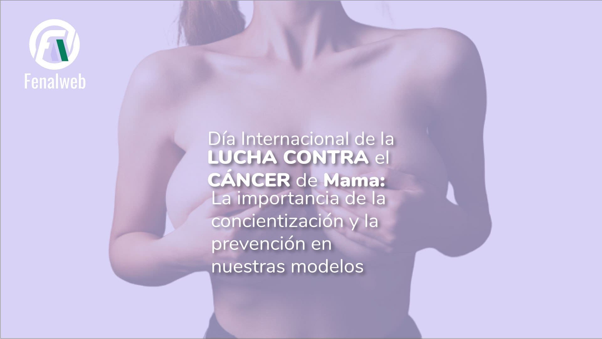cancer de mama modelo webcam Fenalweb Federación nacional de comercio electrónico para adultos a través del sistema webcam modelaje webcam medellin colombia trabajo modelos